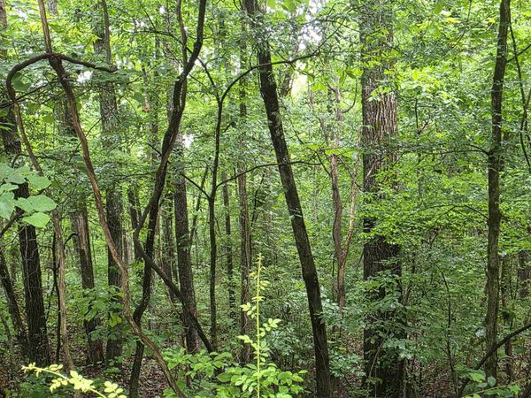 L-47, B-2 Saskatchewan Drive , Cherokee Village, AR 72529