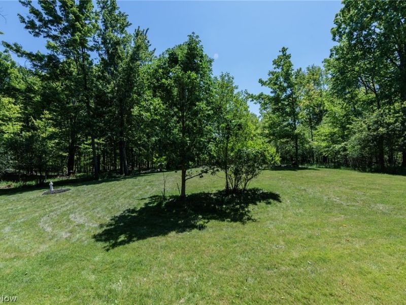 3574 Turnberry Drive , Medina, OH 44256 Photo 7