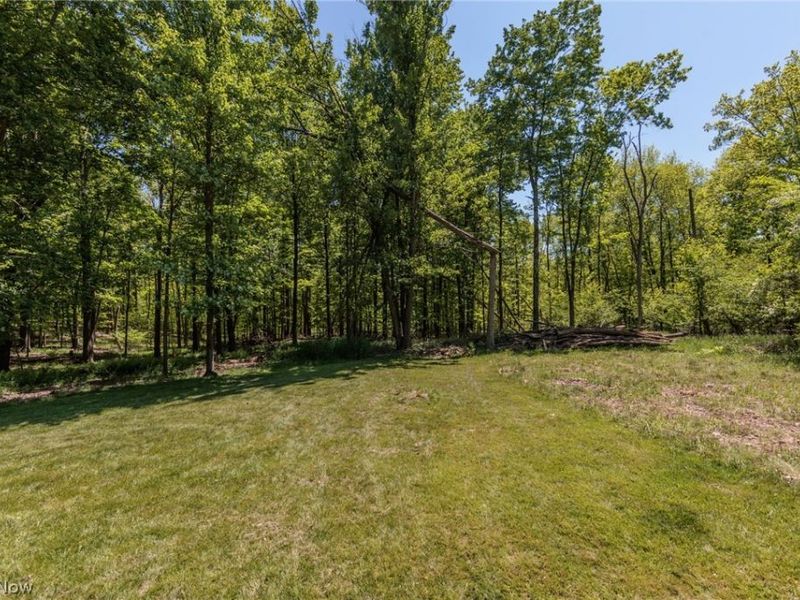3574 Turnberry Drive , Medina, OH 44256 Photo 9