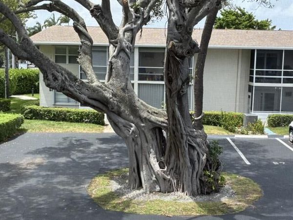 620 Horizon W, Unit 202, Boynton Beach, FL 33435