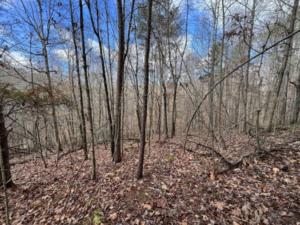 0 Smyrna Road , Evensville, TN 37332