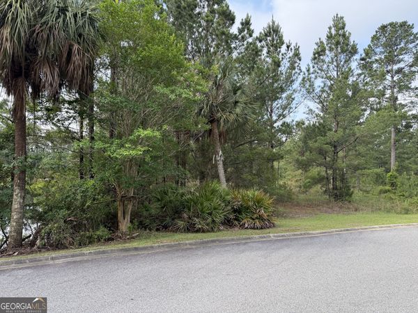 1.12 Big Horse Drive, Waynesville, GA 31566