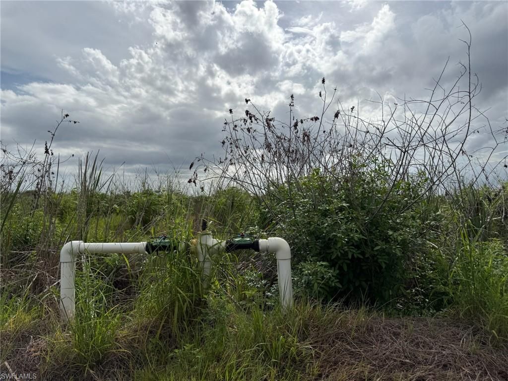 6658 + 6680 4th Rd , Labelle, FL 33935 Photo