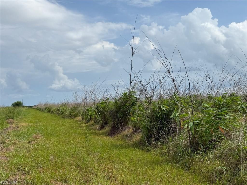 6658 + 6680 4th Rd , Labelle, FL 33935 Photo