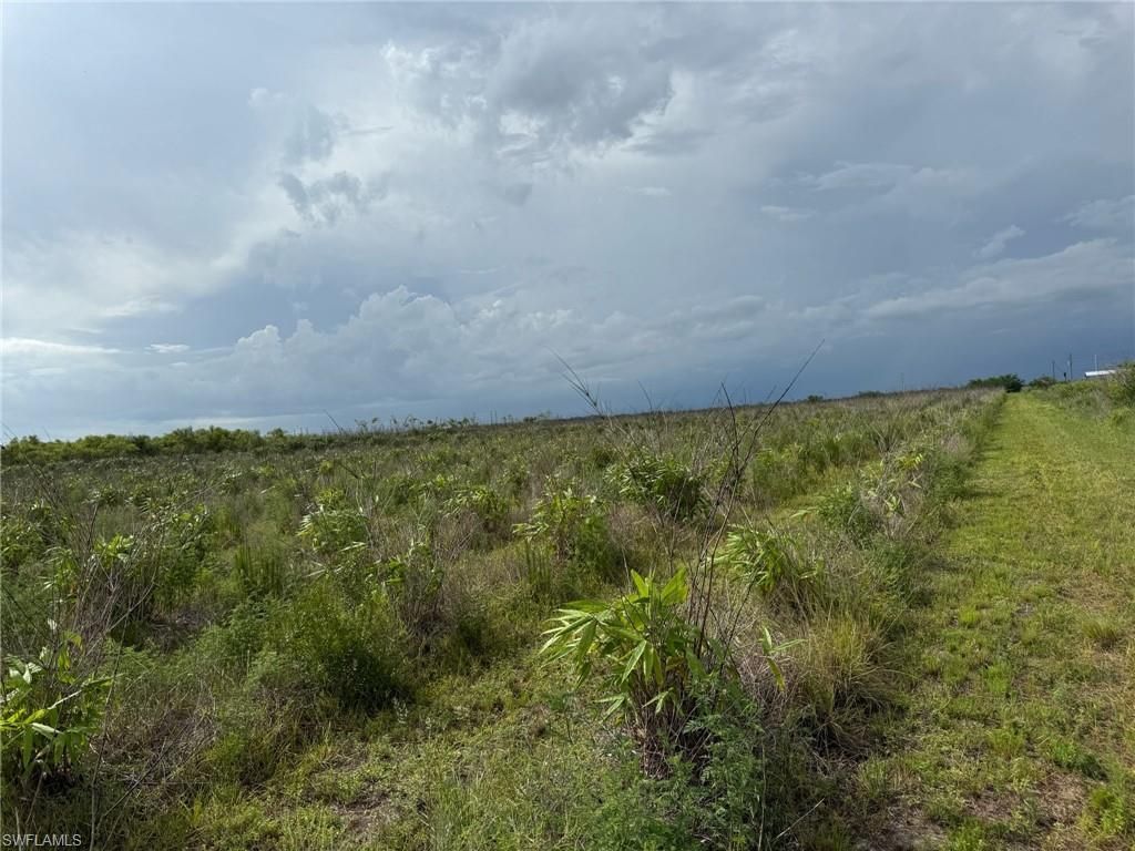 6658 + 6680 4th Rd , Labelle, FL 33935 Photo