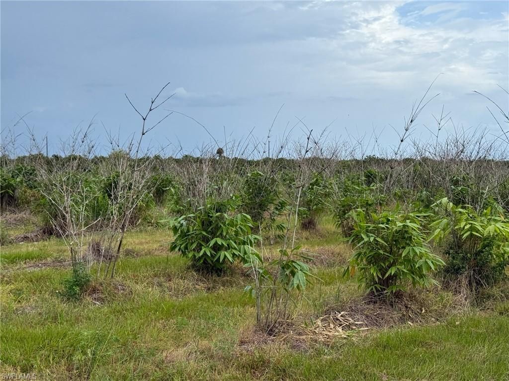 6658 + 6680 4th Rd , Labelle, FL 33935 Photo