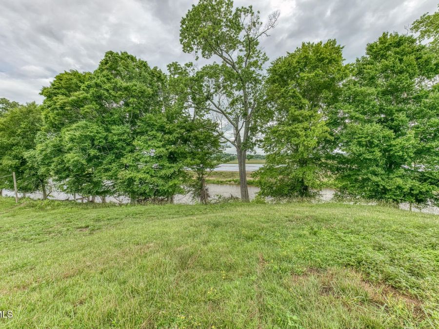 Property Image 61