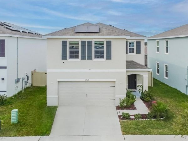 17029 BLISTER WING DRIVE, WIMAUMA, FL 33598