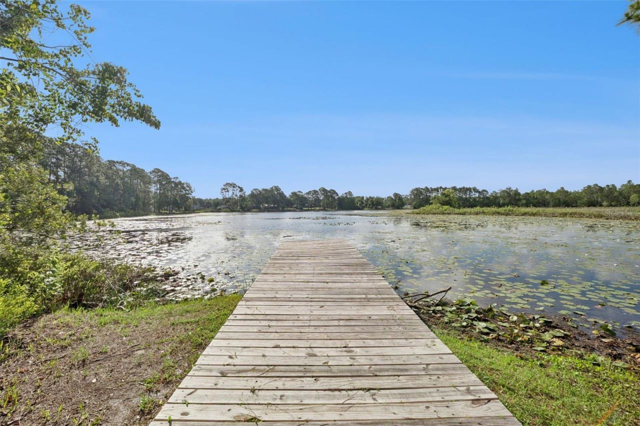 42146 Pine Valley Drive, Paisley, FL 32767 Photo