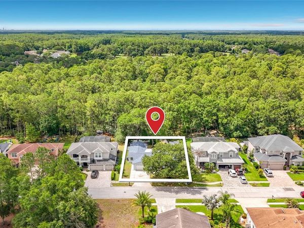12912 STARLING DRIVE, ODESSA, FL 33556