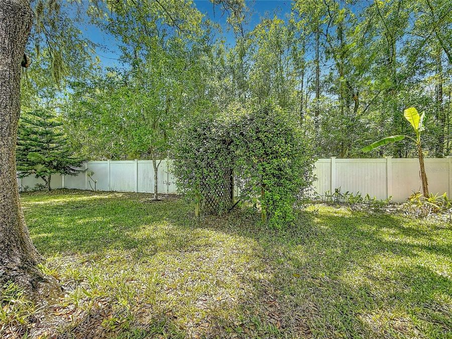Property Image 62