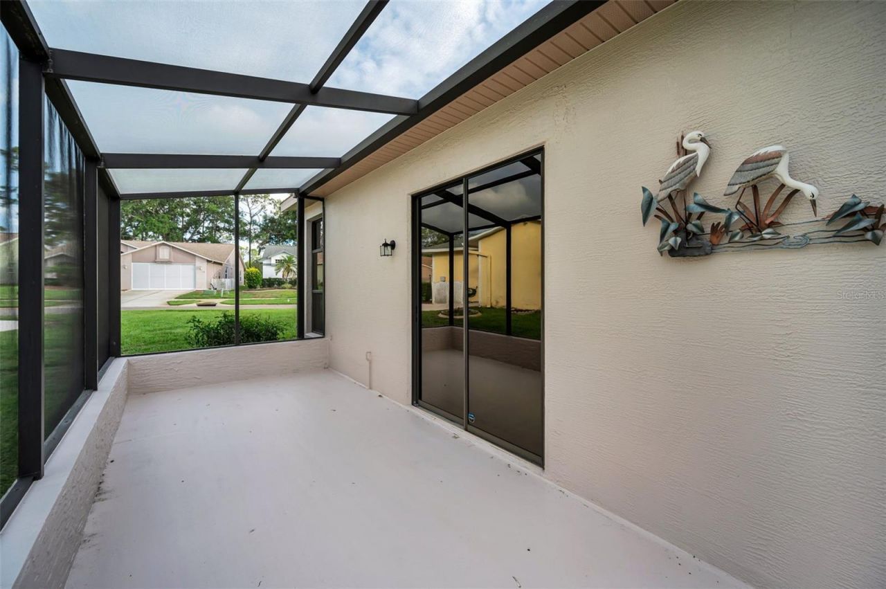 6240 Fairskies Drive, New Port Richey, FL 34655 Photo