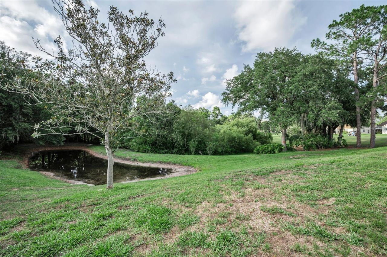 6240 Fairskies Drive, New Port Richey, FL 34655 Photo