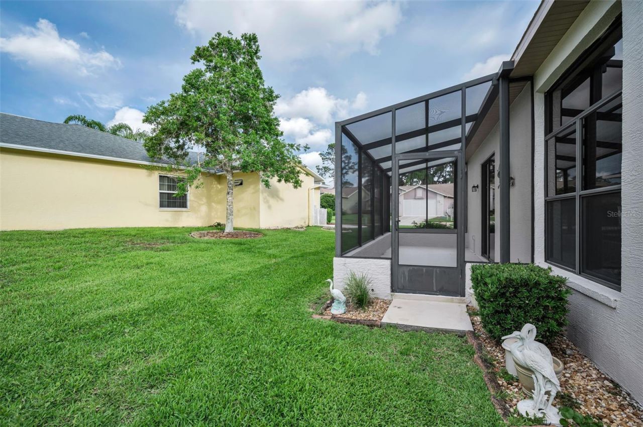 6240 Fairskies Drive, New Port Richey, FL 34655 Photo
