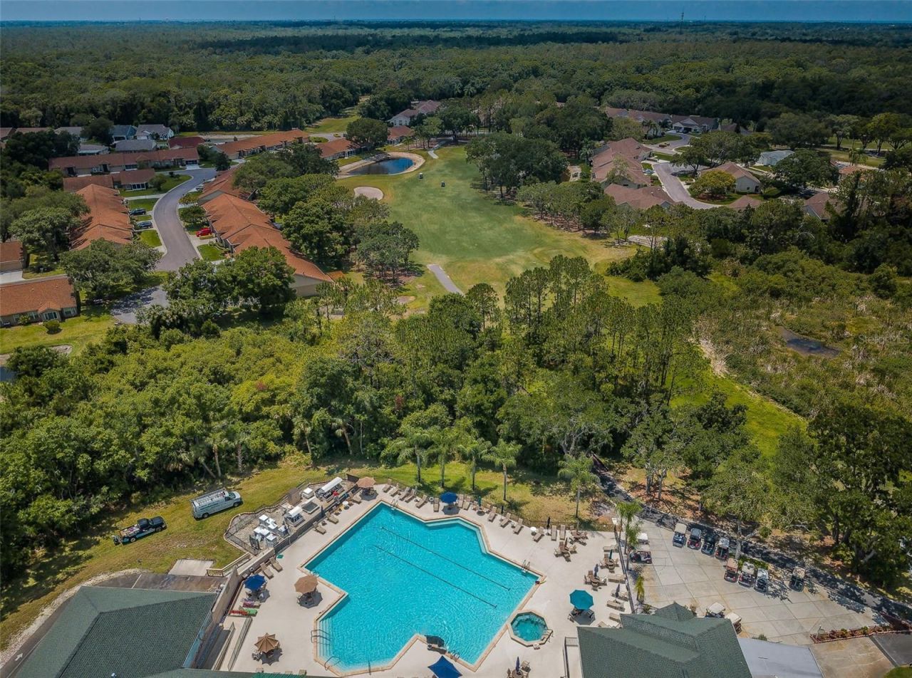 6240 Fairskies Drive, New Port Richey, FL 34655 Photo