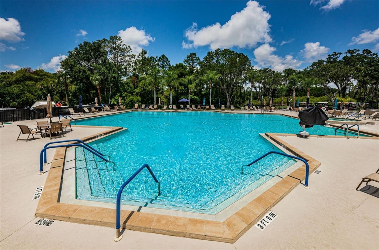 6240 Fairskies Drive, New Port Richey, FL 34655 Photo