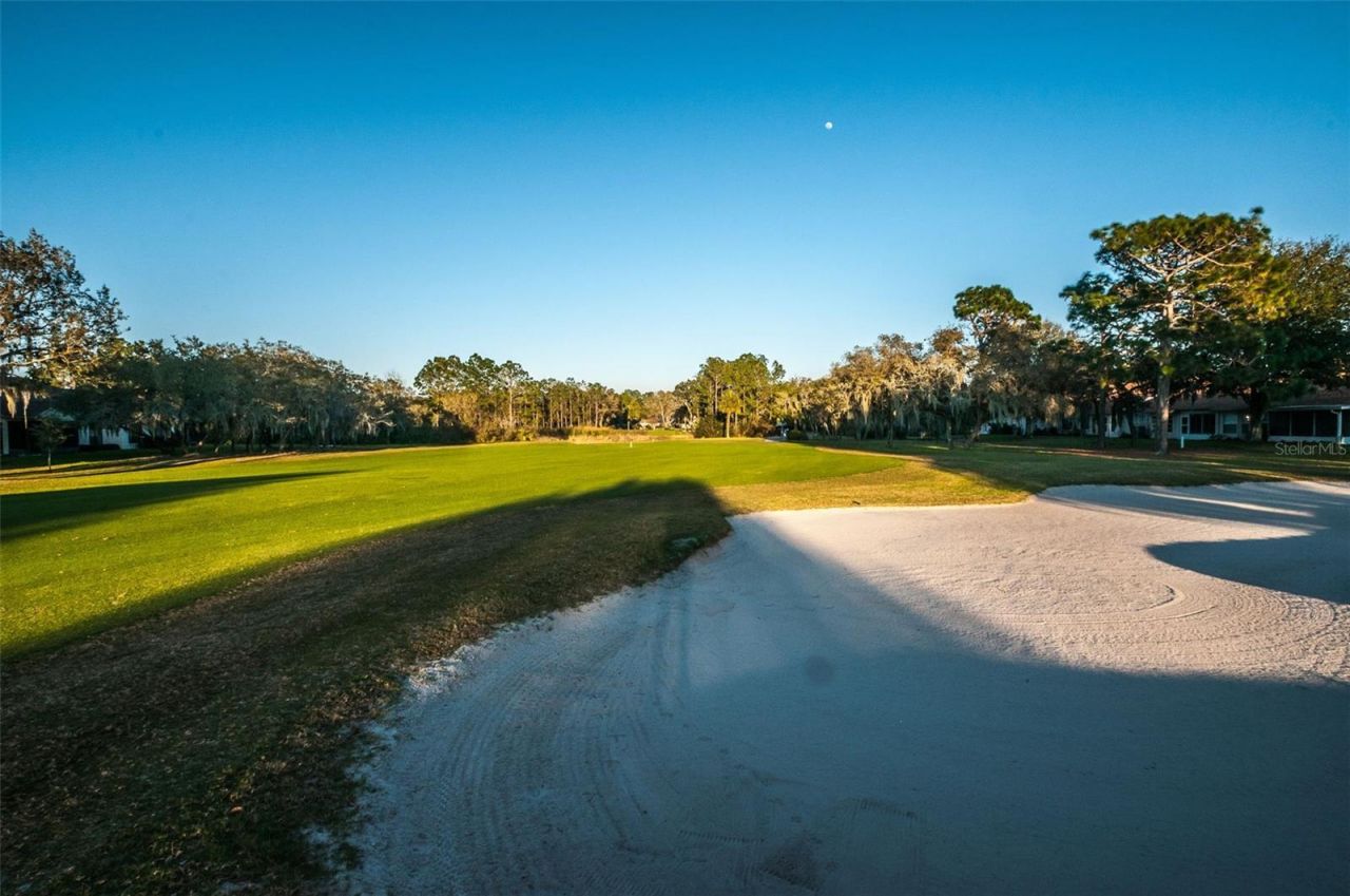 6240 Fairskies Drive, New Port Richey, FL 34655 Photo
