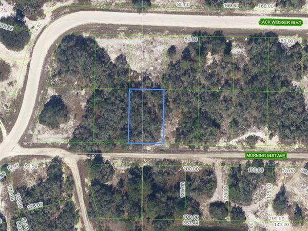 504 MORNING MIST AVENUE , LAKE PLACID, FL 33852