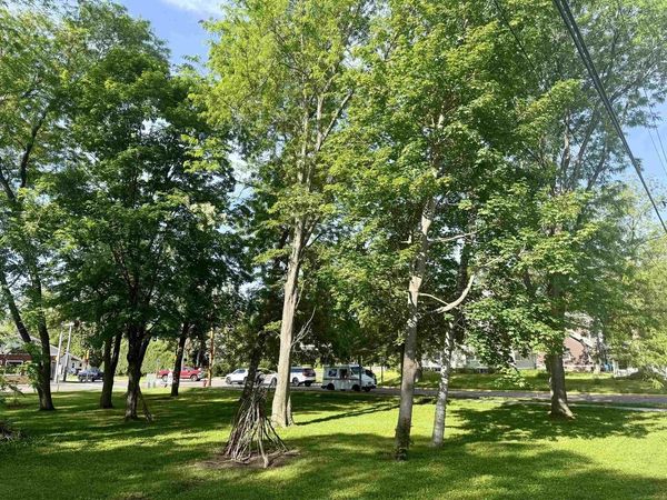 Lot 1 and 2 8th St, Baraboo, WI 53913