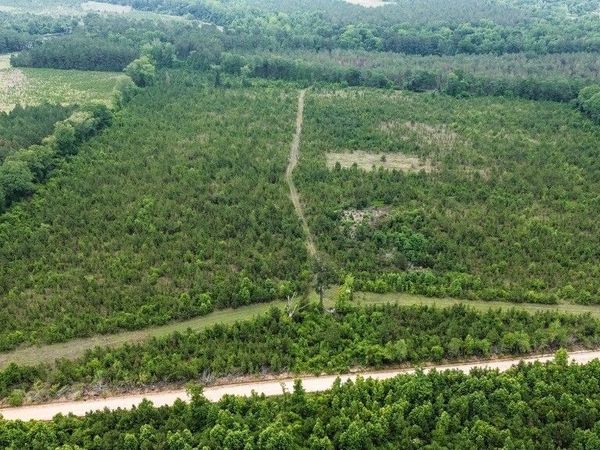 0 Adams Hammock Road, Lyons, GA 30436