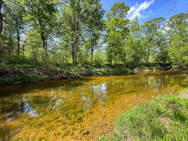 88 V/L N Bush, Coleman, MI 48618