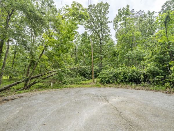 LOT 528 MASTERS CT, Counce, TN 38326