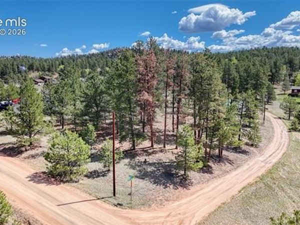 212 Obsidian Drive, Florissant, CO 80816
