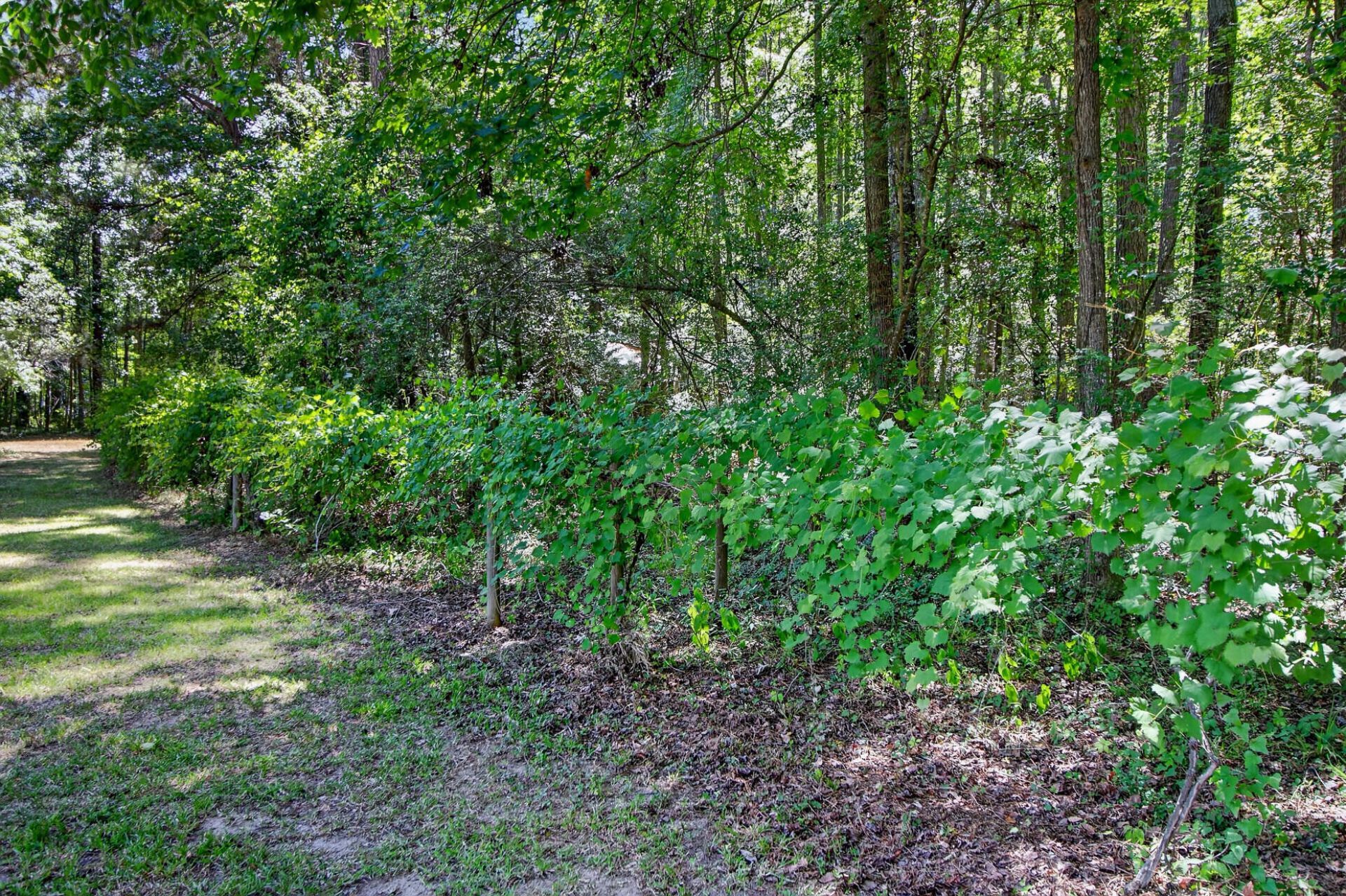 105 Satling Court Photo 63
