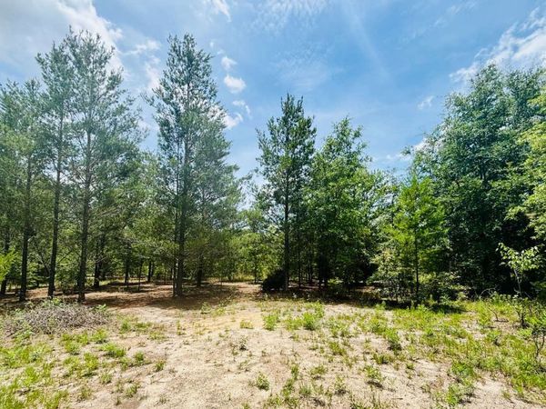 LOT 7 NE RIVER TRACE TRL, Lee, FL 32059