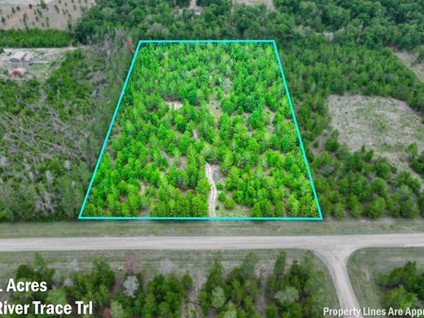 LOT 7 NE RIVER TRACE TRL, Lee, FL 32059