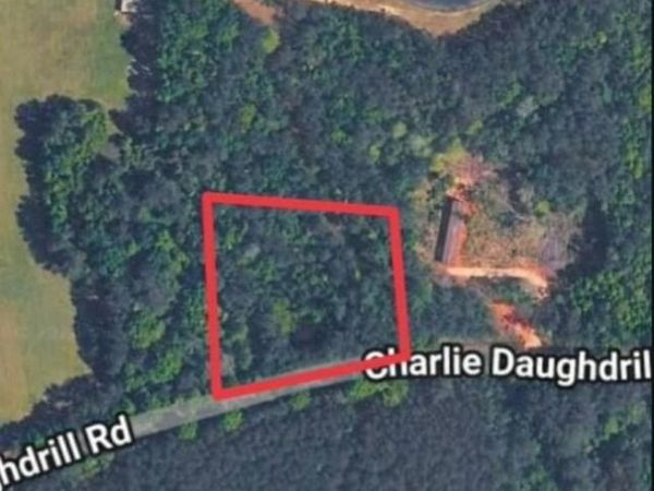 1 Acre Charlie Daughdrill Road, Carriere, MS 39426