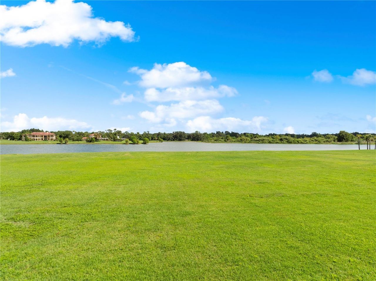 12306 Stonelake Ranch Boulevard, Thonotosassa, FL 33592 Photo