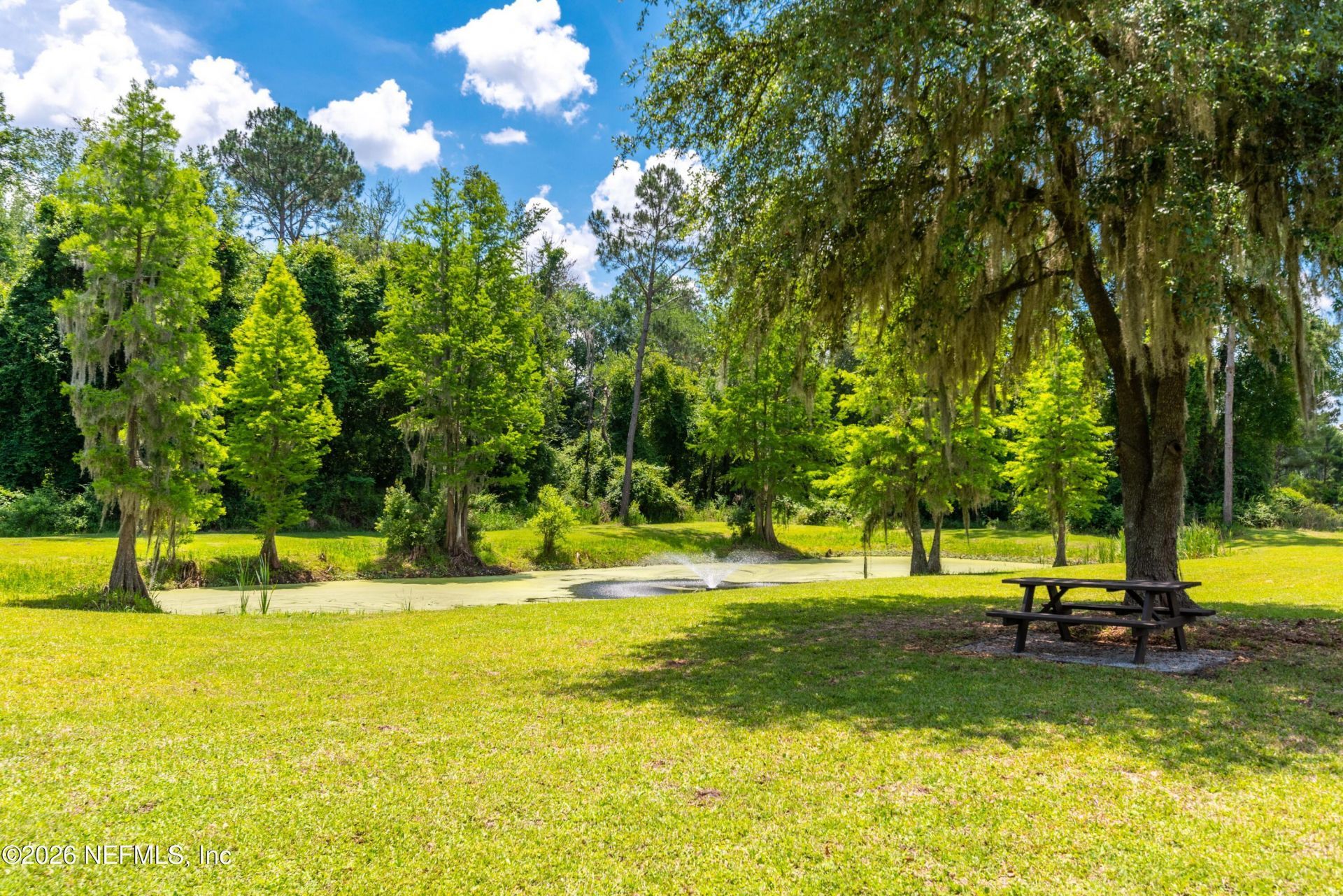 14531 SE 87th Terrace, White Springs, FL 32096 Photo