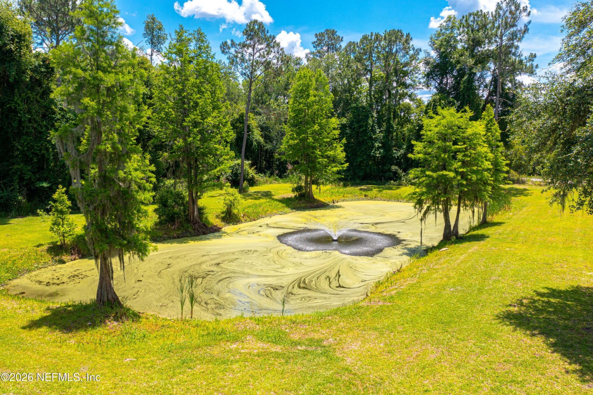 14531 SE 87th Terrace, White Springs, FL 32096 Photo