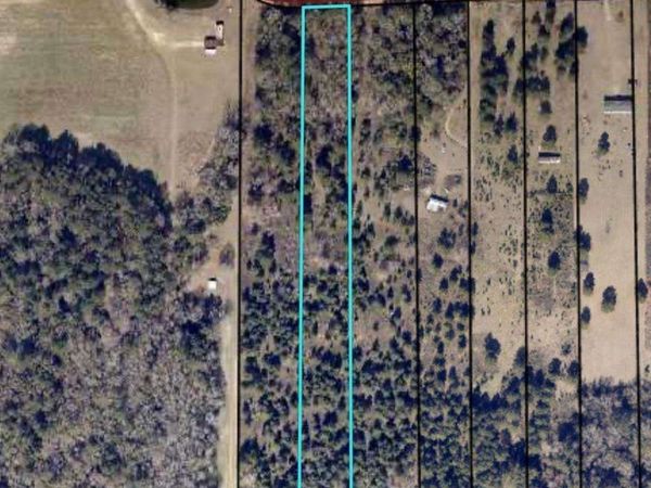 TBD Story Rd Lot#2, Arabi, GA 31712
