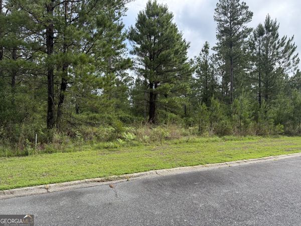 0.59 Big Horse Drive, Waynesville, GA 31566