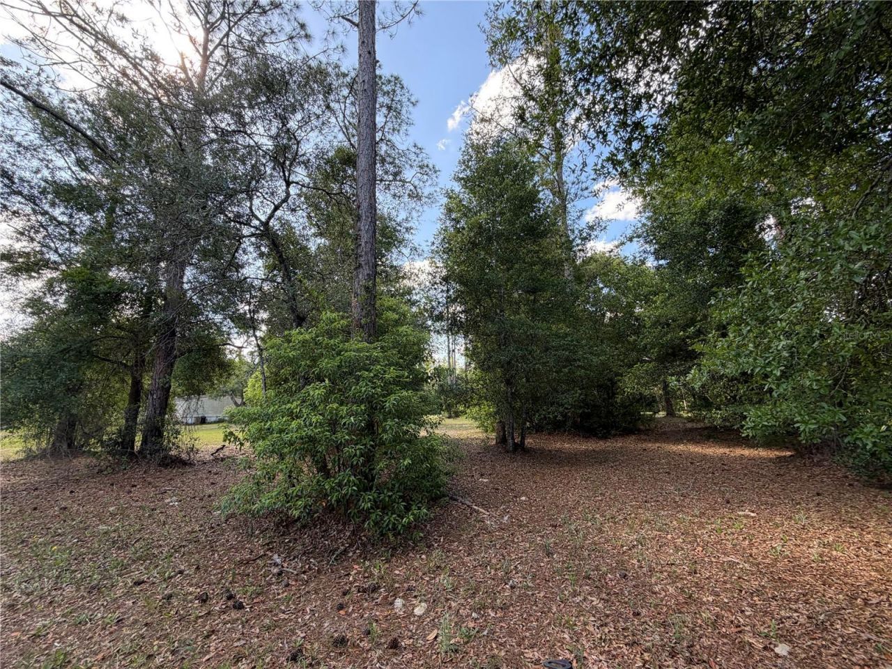 30842 Round Lake Road, Mount Dora, FL 32757 Photo