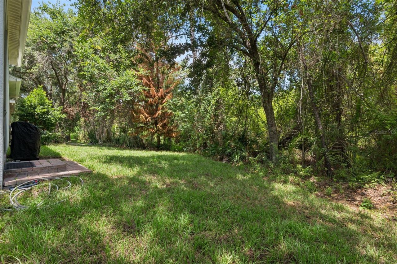 4001 Heirloom Rose Place, Oviedo, FL 32766 Photo