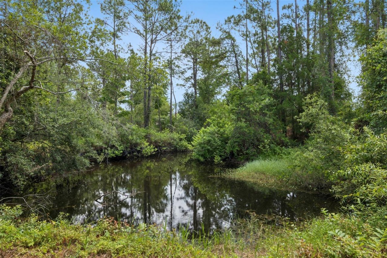 4001 Heirloom Rose Place, Oviedo, FL 32766 Photo
