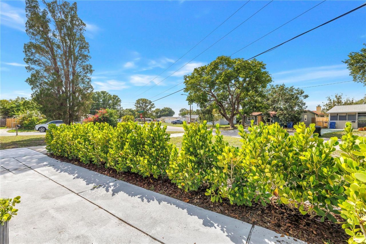 7599 Meadowlawn Drive N, Saint Petersburg, FL 33702 Photo