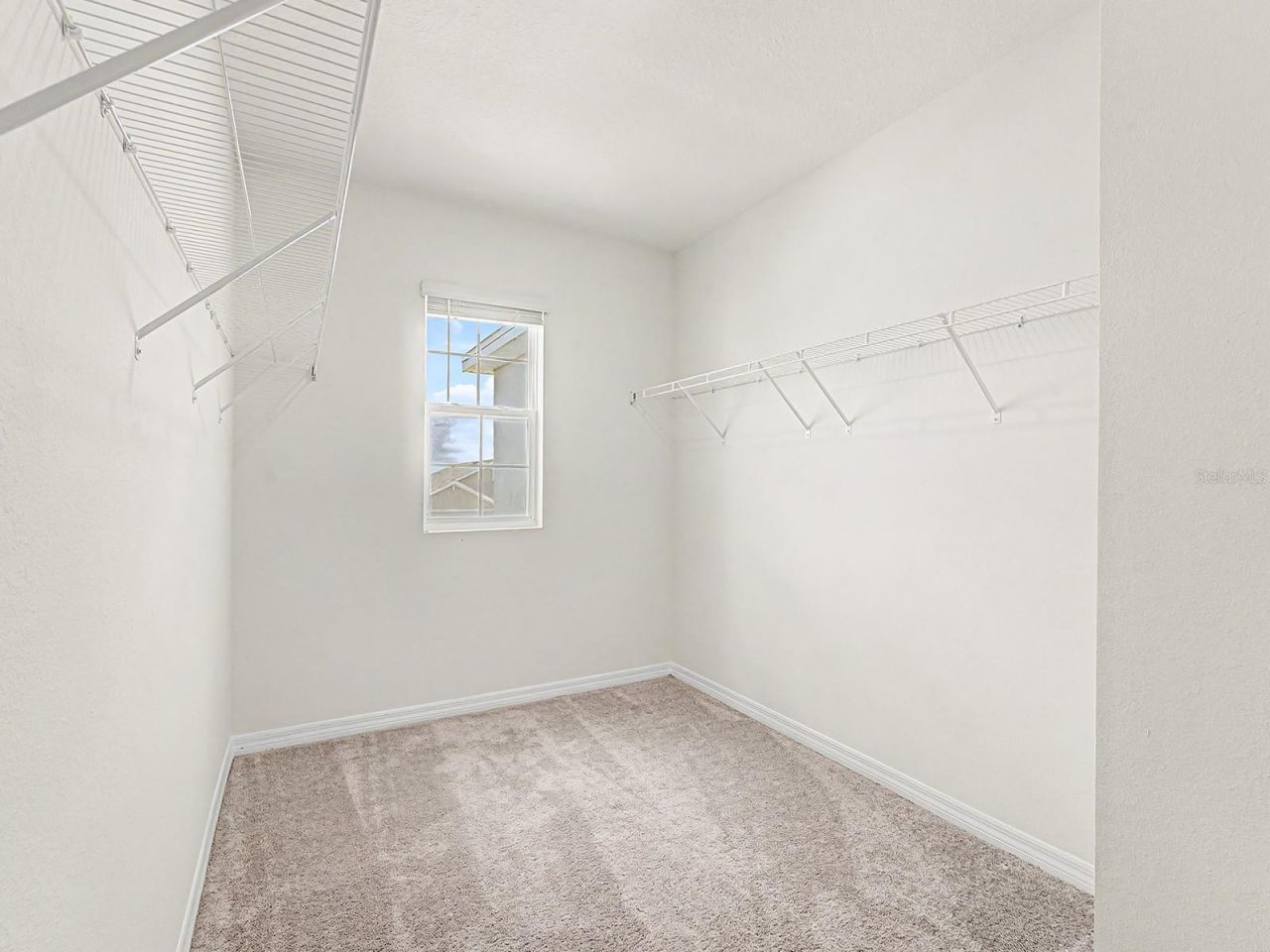 31448 Penny Surf Loop, Wesley Chapel, FL 33545 Photo