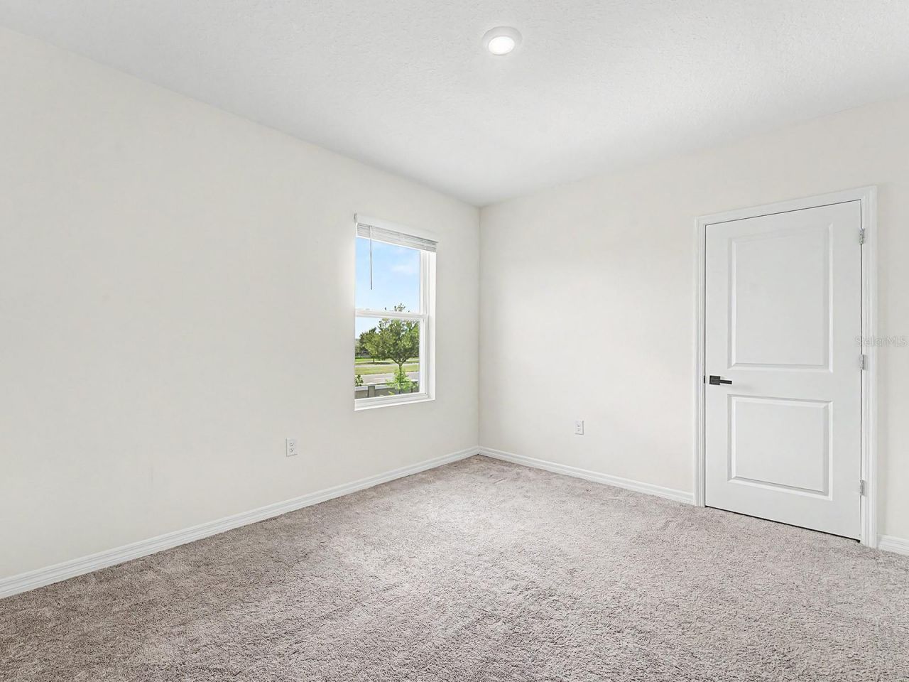 31448 Penny Surf Loop, Wesley Chapel, FL 33545 Photo