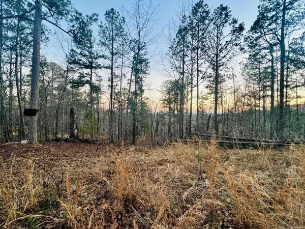 Tract 6 Ramblewood Trail , Yellville, AR 72687