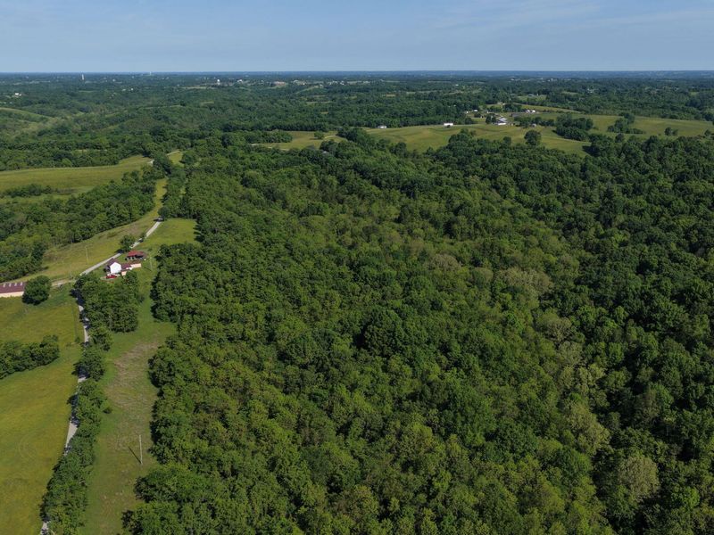 0 Crockett Lane, Mount Olivet, KY 41064 Photo 10