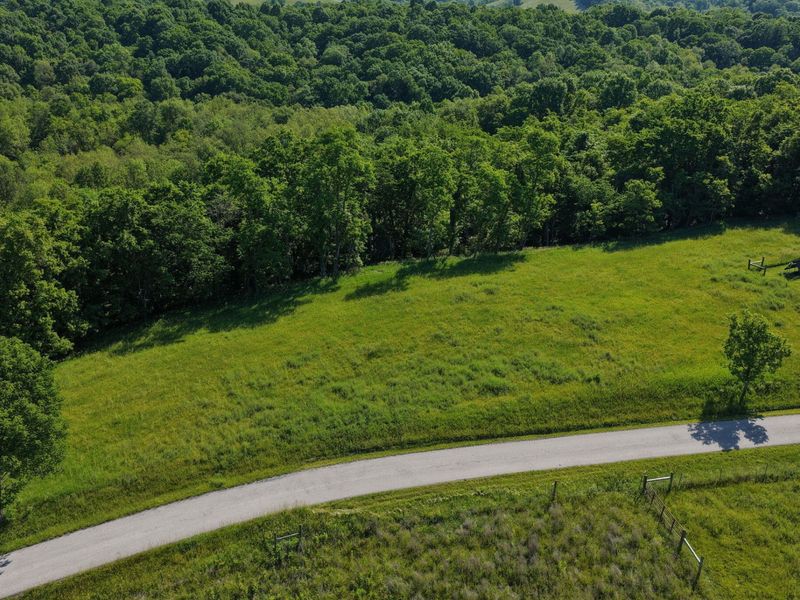 0 Crockett Lane, Mount Olivet, KY 41064 Photo 14