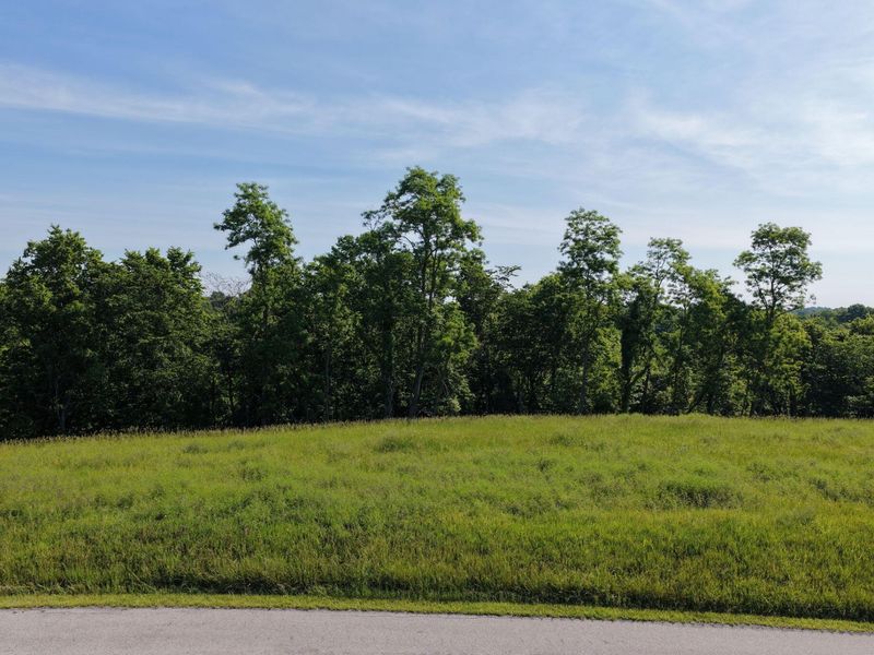 0 Crockett Lane, Mount Olivet, KY 41064 Photo 15