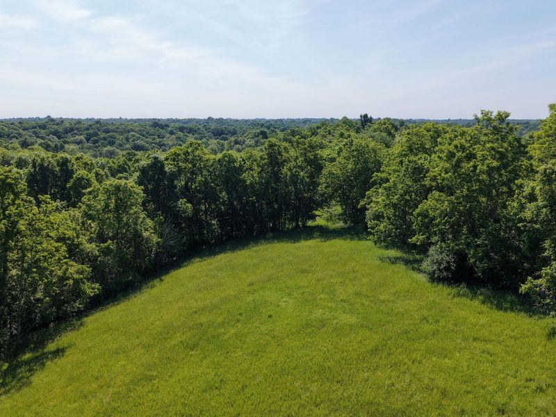 0 Crockett Lane, Mount Olivet, KY 41064 Photo 16