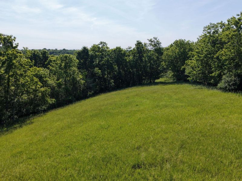 0 Crockett Lane, Mount Olivet, KY 41064 Photo 17