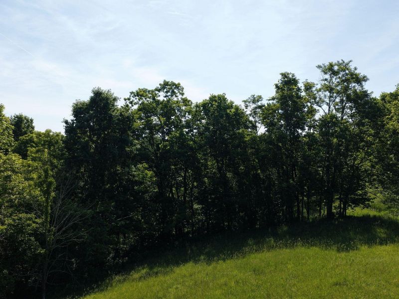 0 Crockett Lane, Mount Olivet, KY 41064 Photo 20