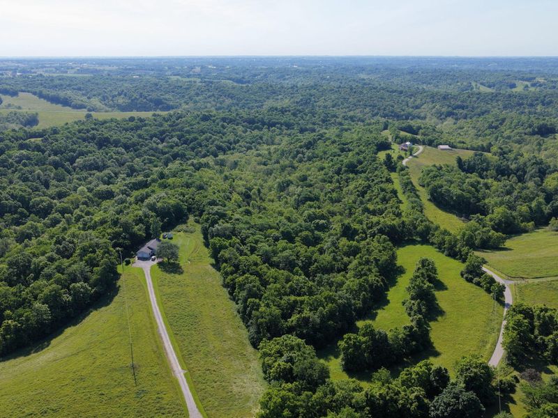 0 Crockett Lane, Mount Olivet, KY 41064 Photo 5